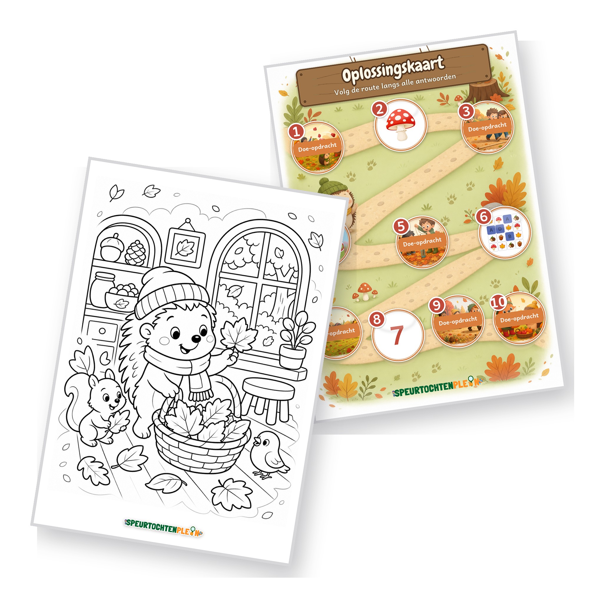Oplossingskaart en kleurplaat van de herfst Speurtocht