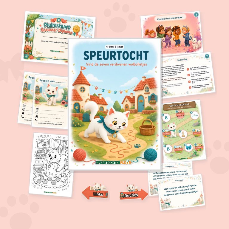 Poezen Speurtocht – Help Poesje Pluis met het Grote Snorrenfeest